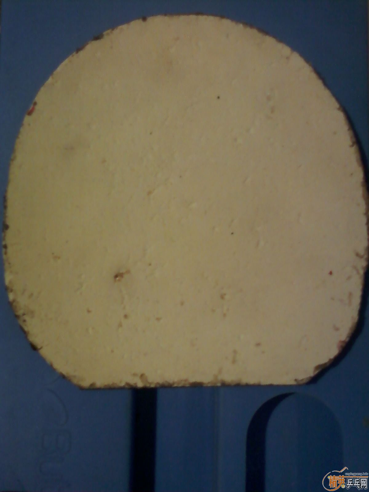 �������ú�ɫ39�ȿ��+tsp xs1����ɫ���+���������״������������ϰ�׽�