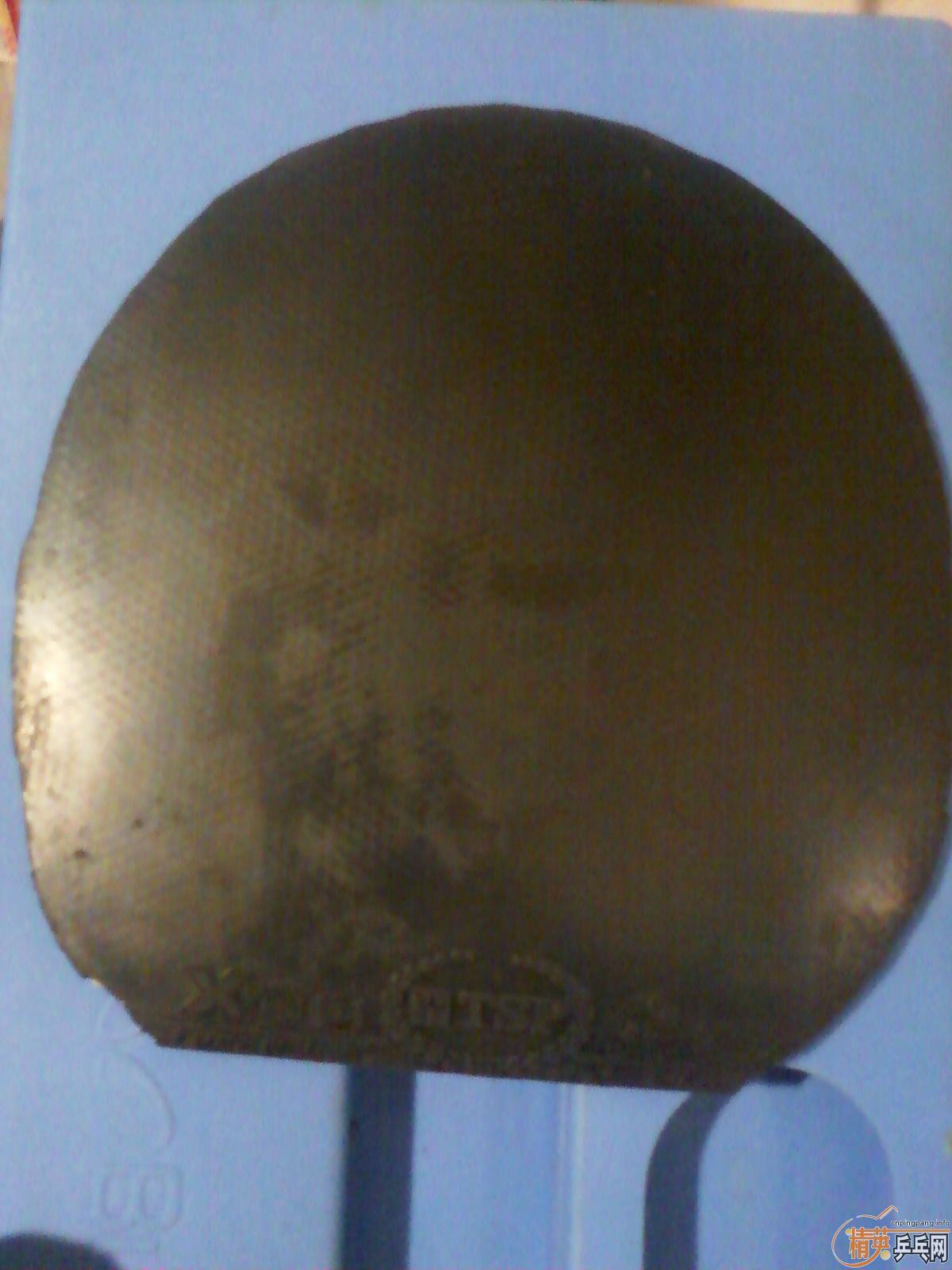 �������ú�ɫ39�ȿ��+tsp xs1����ɫ���+���������״������������ϰ�׽�