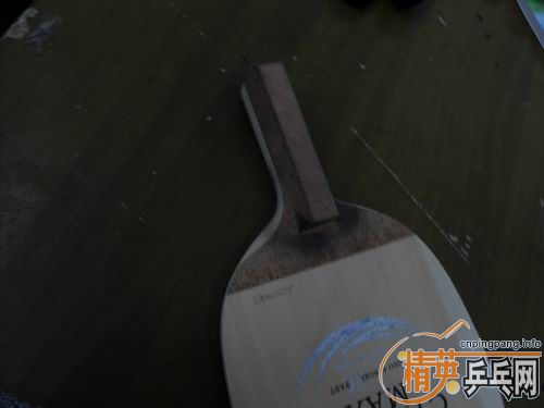 �ؿ���������MAX��ARIEX����ѡ������ֱ����