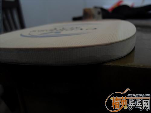 �ؿ���������MAX��ARIEX����ѡ������ֱ����