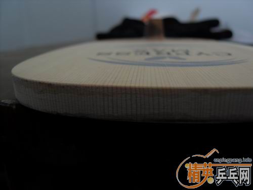 �ؿ���������MAX��ARIEX����ѡ������ֱ����