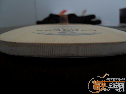 �ؿ���������MAX��ARIEX����ѡ������ֱ����