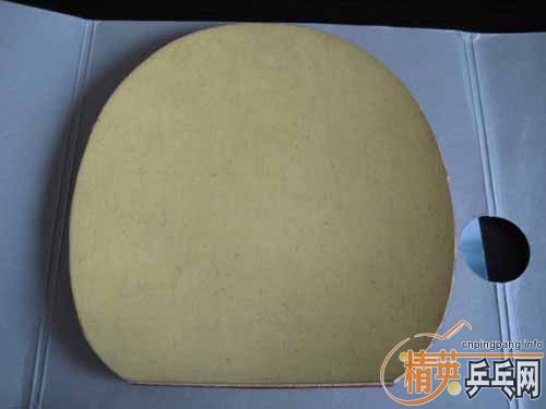 ���������⣨���ˣ�+�¹���Ƥ+����3��