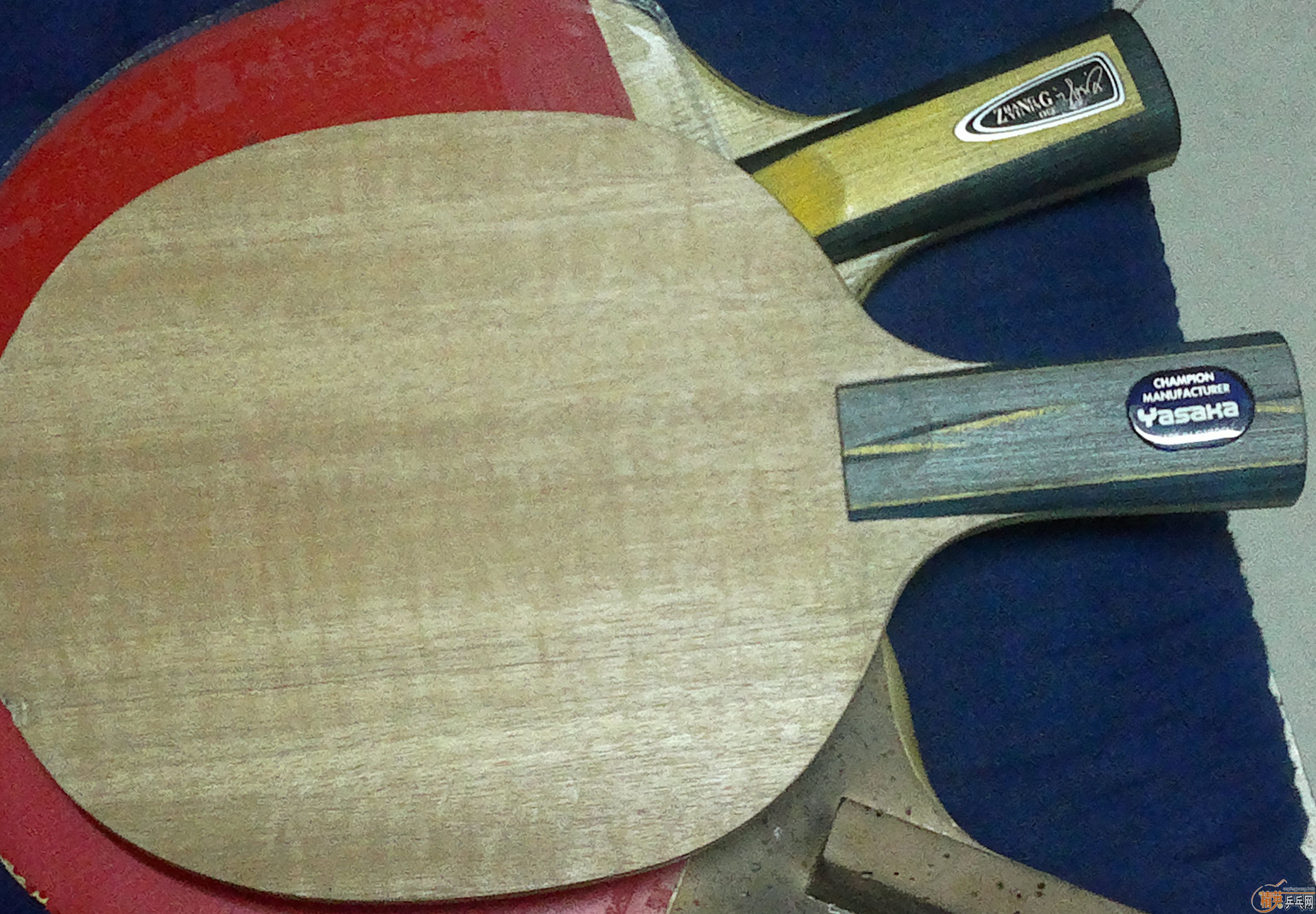 320����..................������