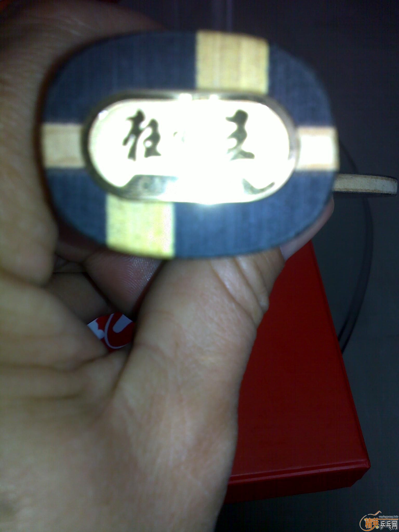 98�¿���510����