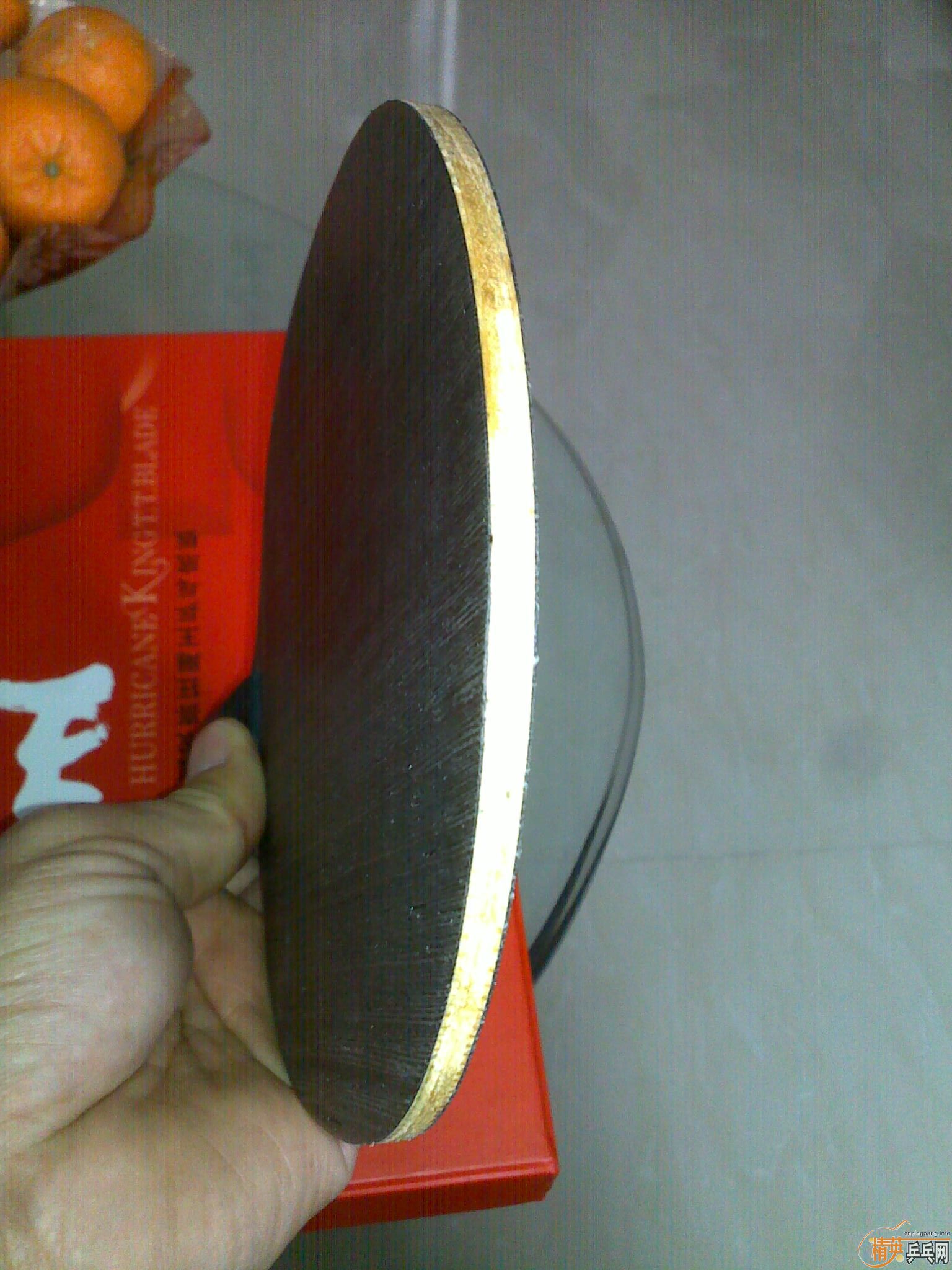 98�¿���510����