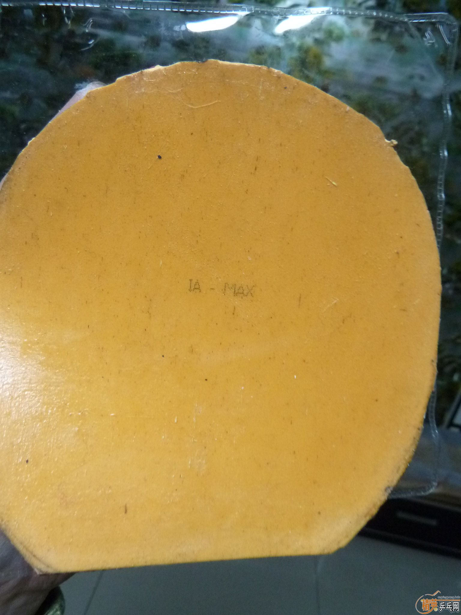 ���س�EL����09ʡ���һ���ӽ�Ƥ�������ѱ�ʾ����EL����ר�Ҽ�����