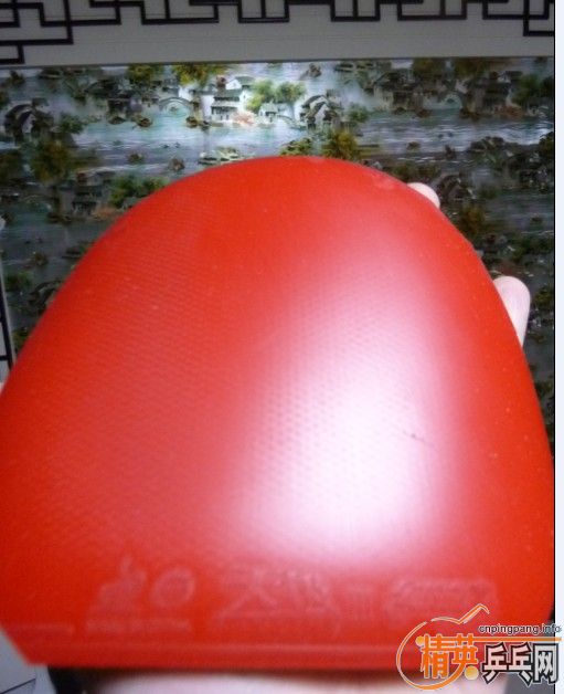 ���س�EL����09ʡ���һ���ӽ�Ƥ�������ѱ�ʾ����EL����ר�Ҽ�����