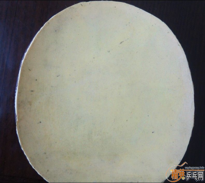 ���˳��������B�������SONEX������FLEXTRA��֩���׽�