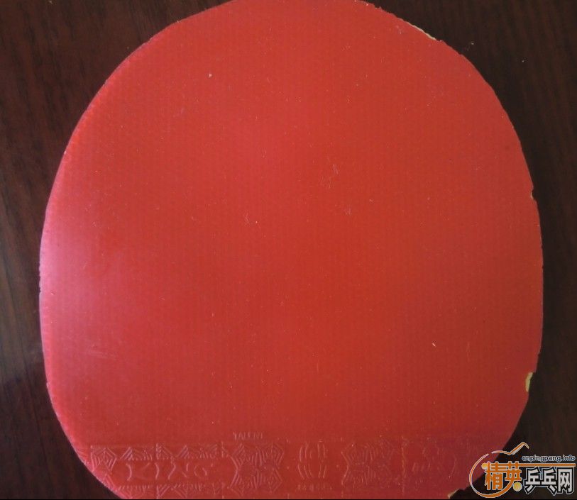 ���˳��������B�������SONEX������FLEXTRA��֩���׽�