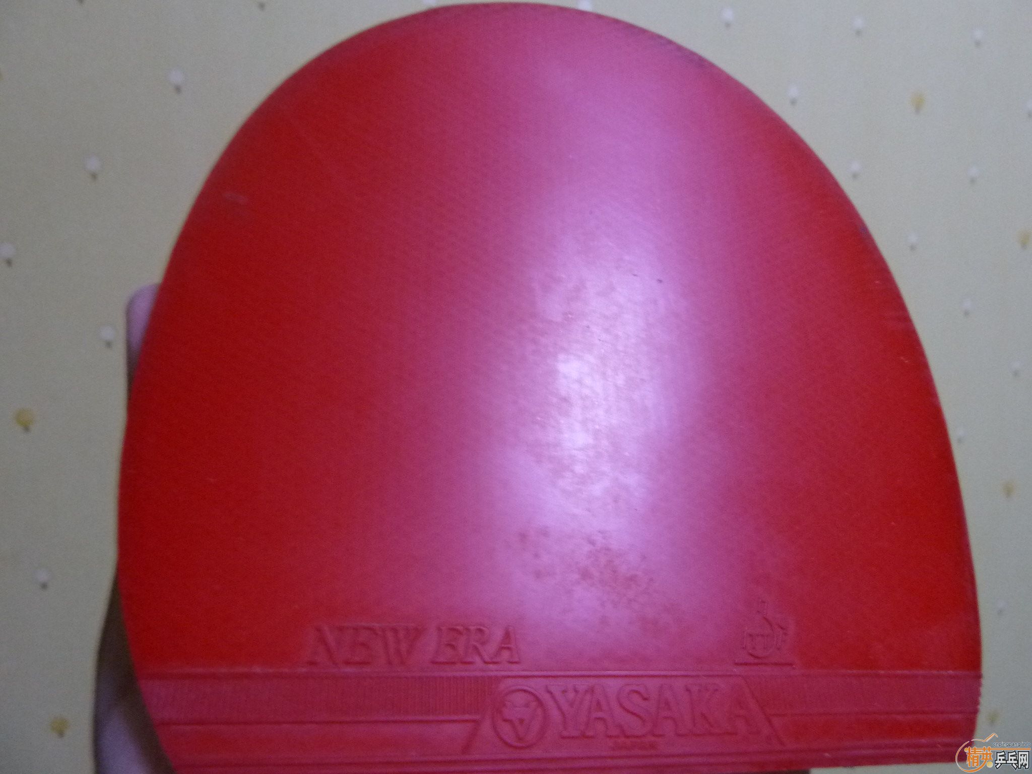 ���س�EL����09ʡ���һ���ӽ�Ƥ�������ѱ�ʾ����EL����ר�Ҽ�����