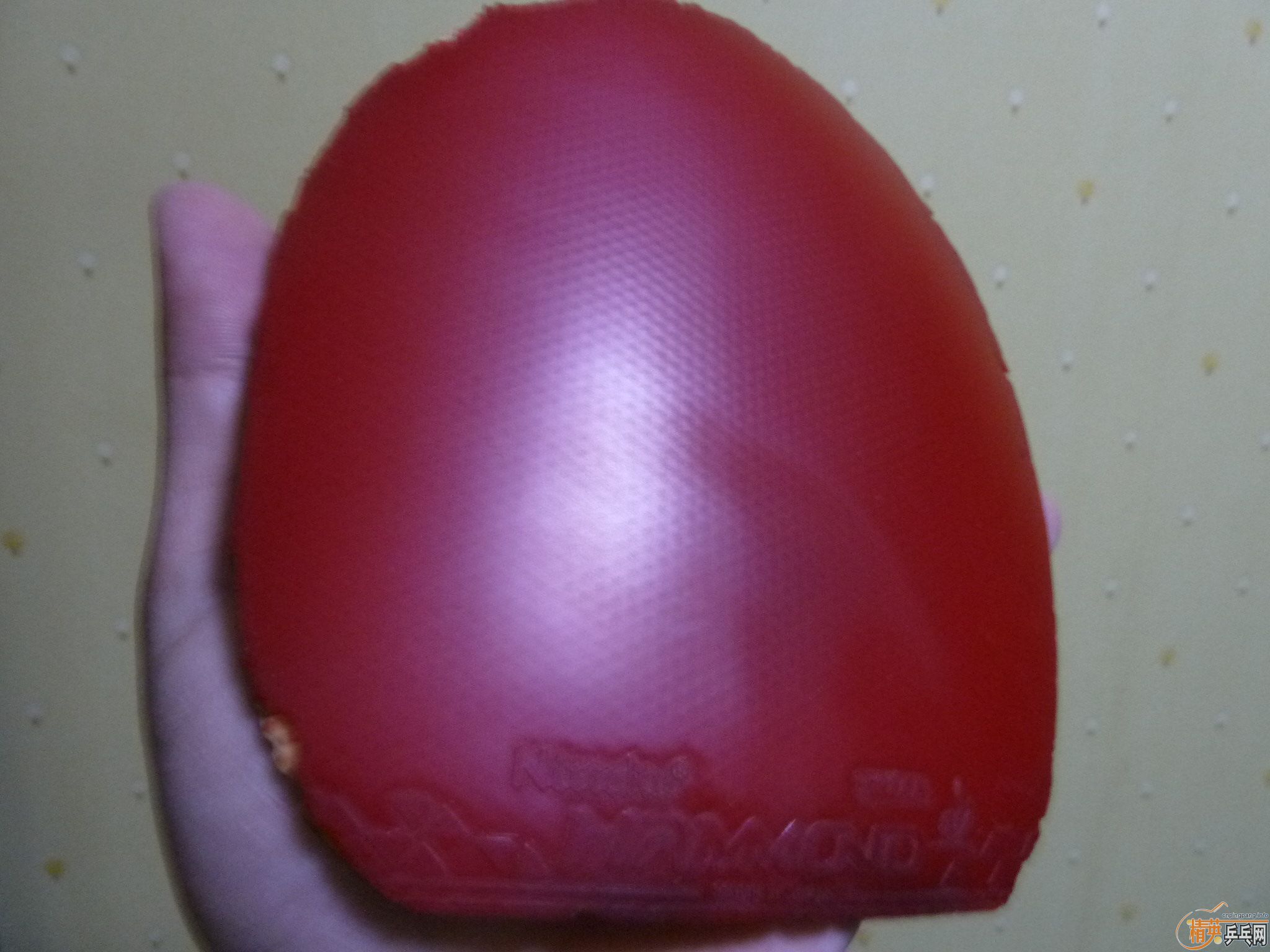 ���س�EL����09ʡ���һ���ӽ�Ƥ�������ѱ�ʾ����EL����ר�Ҽ�����