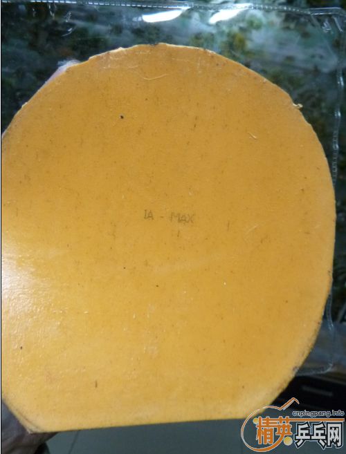 ���س�EL����09ʡ���һ���ӽ�Ƥ�������ѱ�ʾ����EL����ר�Ҽ�����