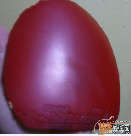 ���س�EL����09ʡ���һ���ӽ�Ƥ�������ѱ�ʾ����EL����ר�Ҽ�����