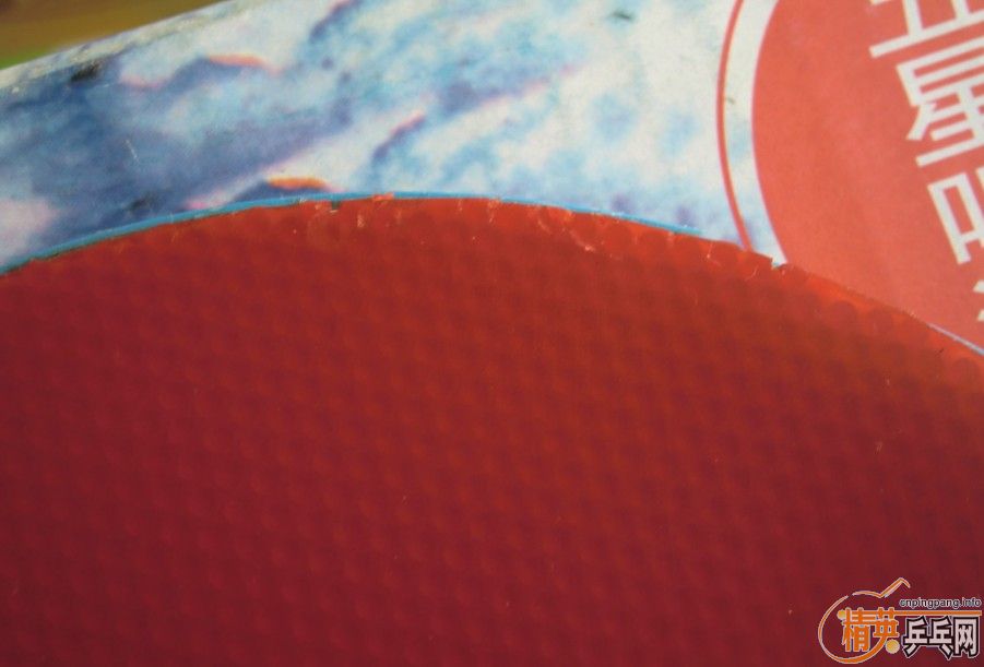 ���˳��������B�������SONEX������FLEXTRA��֩���׽�