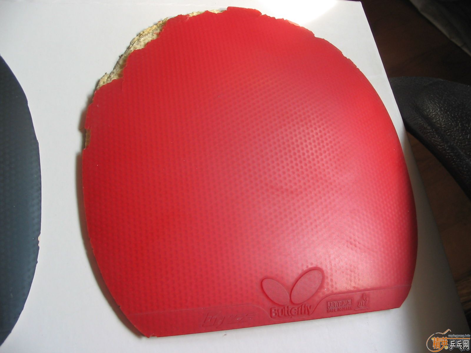 �����ͼ������װ�260Ԫ