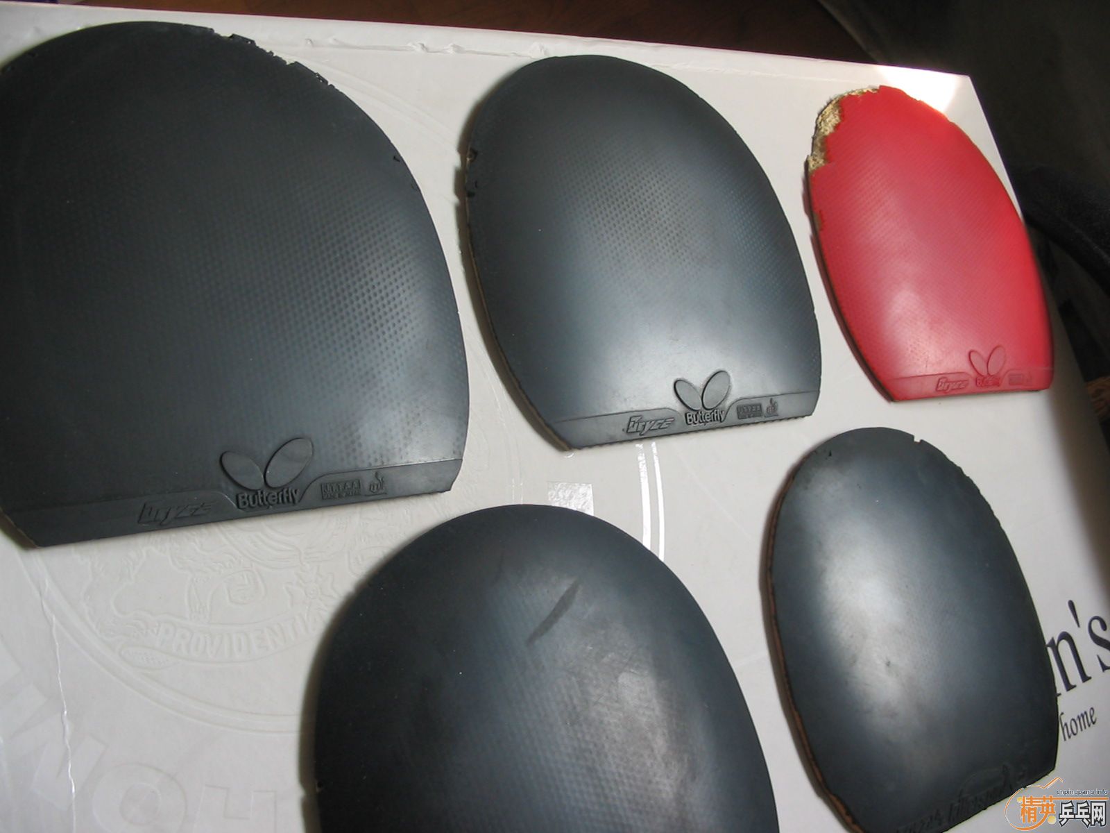 �����ͼ������װ�260Ԫ