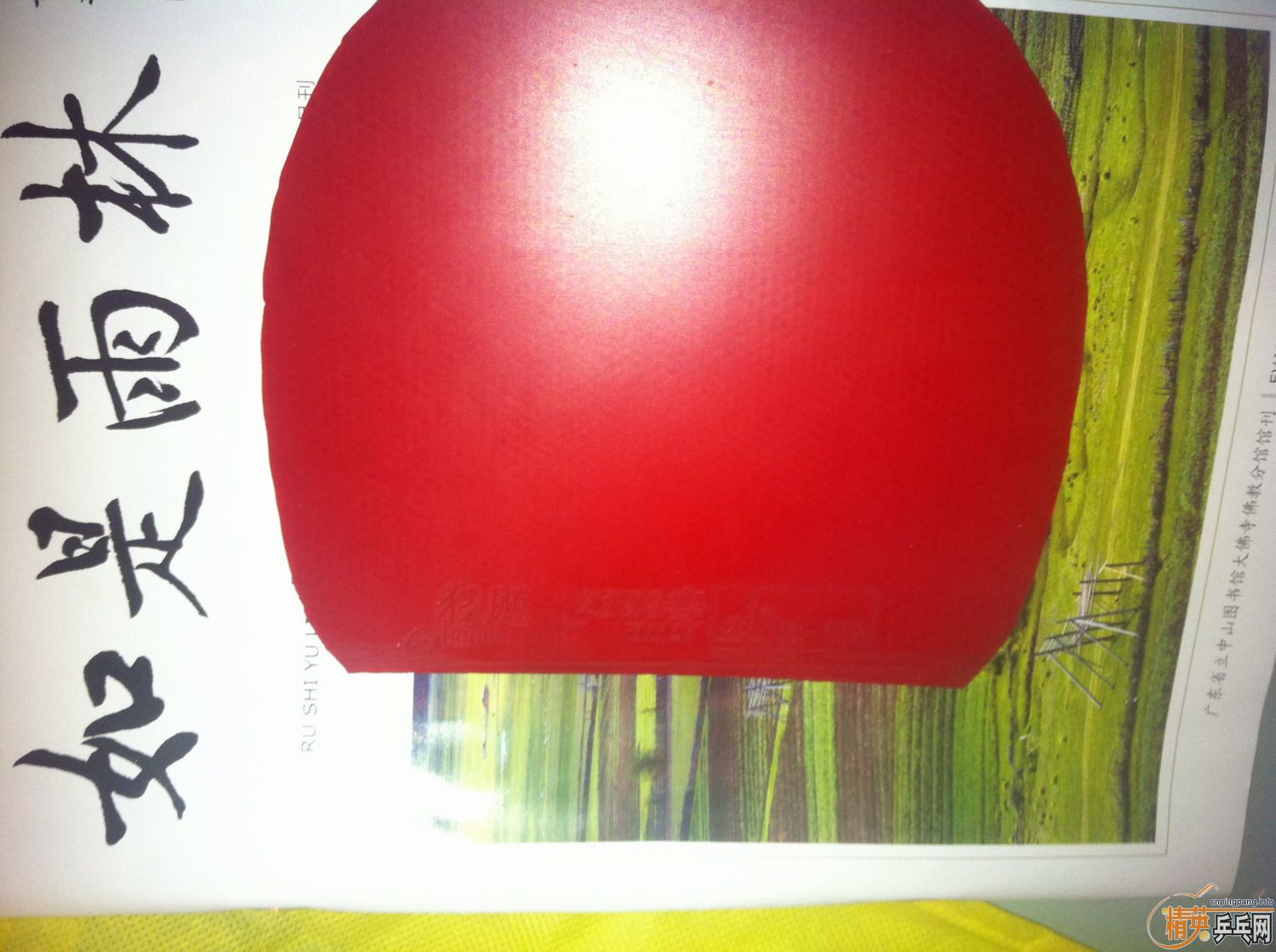 NITTAKU����֮��Ʒ��NP700+�����骣�������650