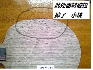 ���л����̼��