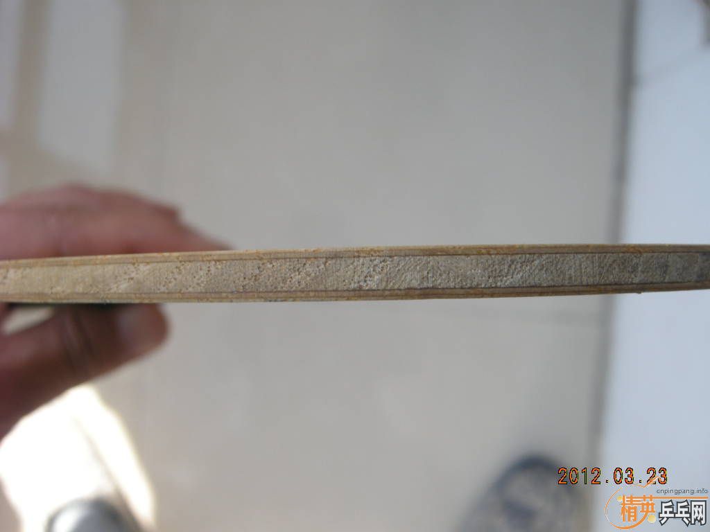 [ԭ��]��Ư��������������������С����