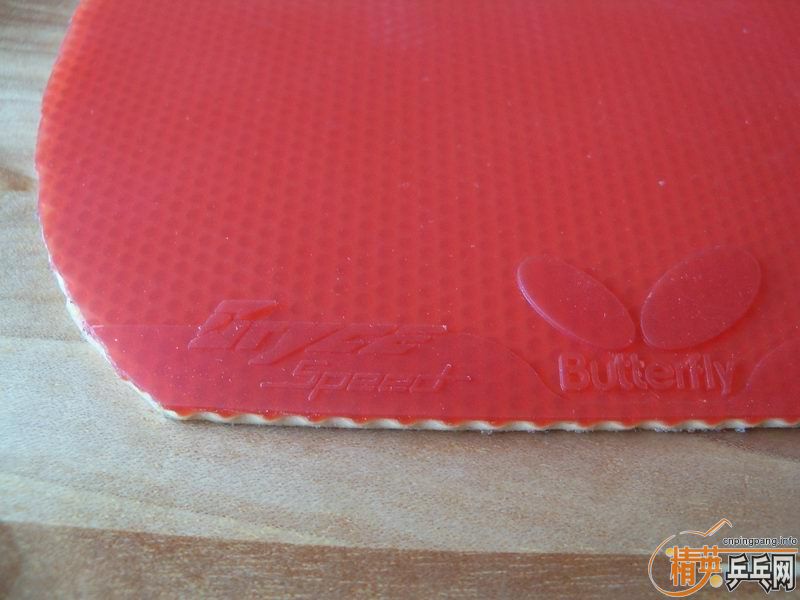 [�Ƽ�]bryce speed 2.1mm �� �޻����jo �� ������300����