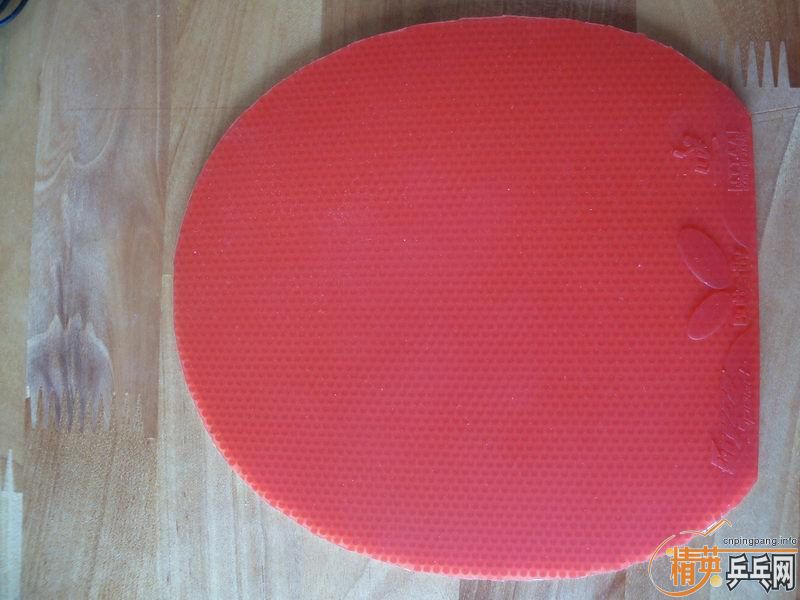 [�Ƽ�]bryce speed 2.1mm �� �޻����jo �� ������300����