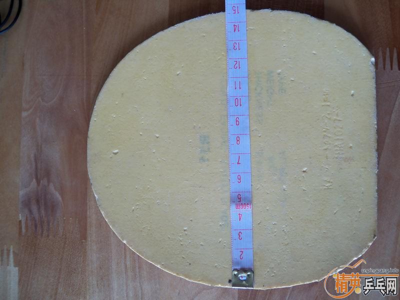 [�Ƽ�]bryce speed 2.1mm �� �޻����jo �� ������300����