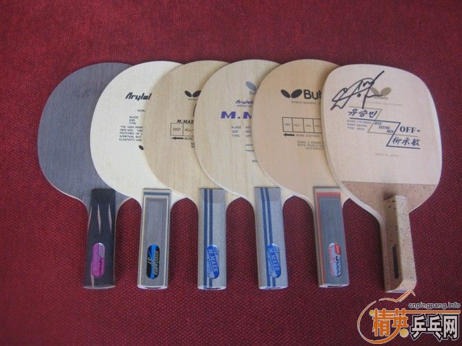 �ղ�Ʒ�ֽ���ļ�ֻ�������ӣ�С��,VIS-ST���������ְ��