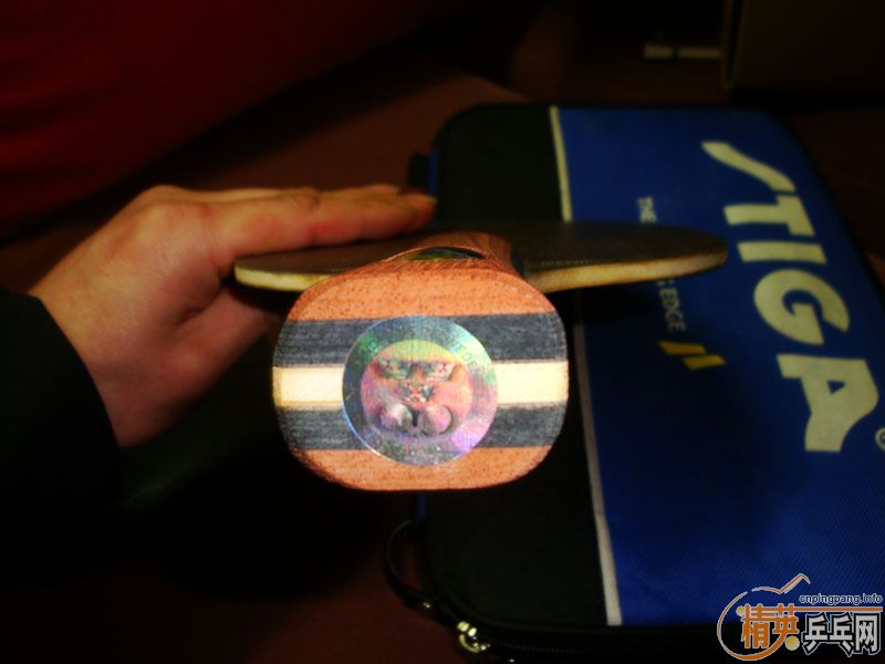 �л��Ʊ�FL-OC������STING