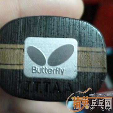 ��������AMULTART zlc