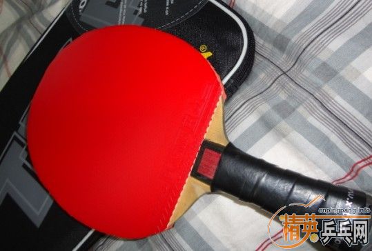 ��������AMULTART zlc