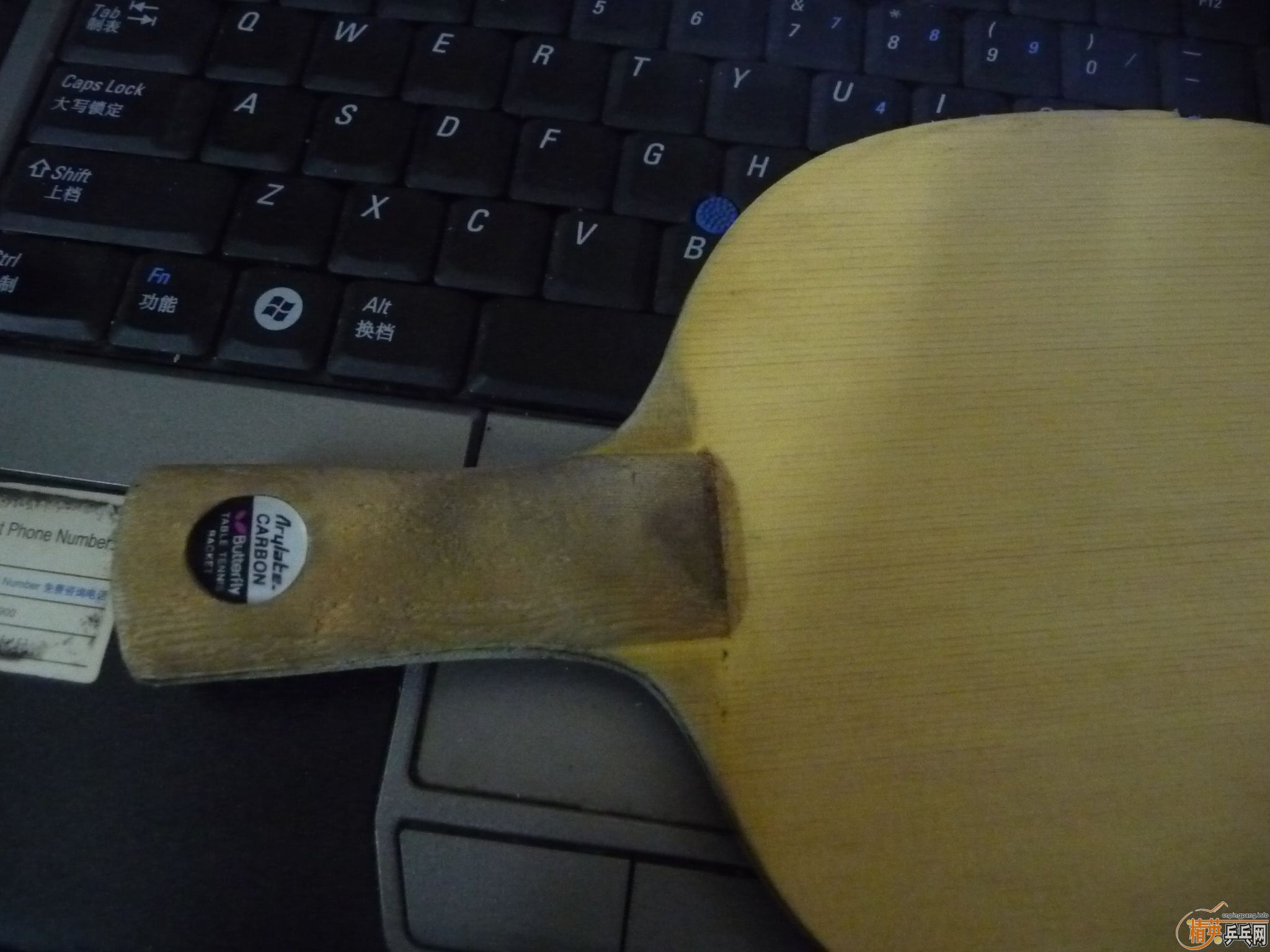 �Ͽ����ƺ���������