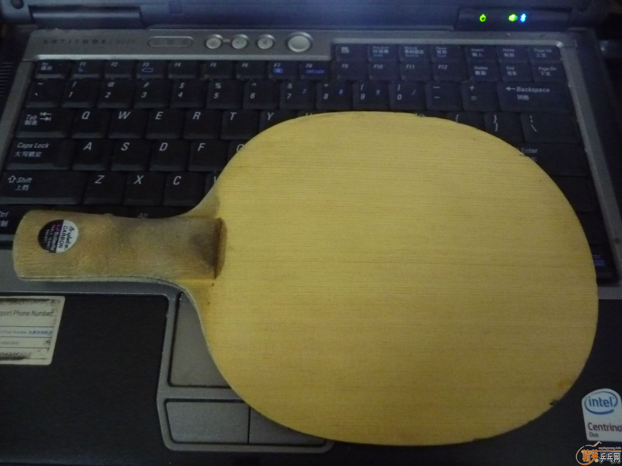 �Ͽ����ƺ���������