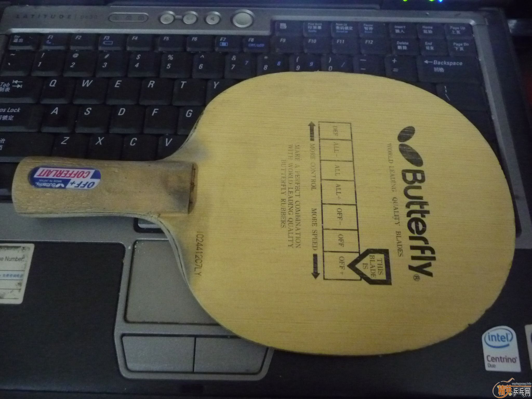 �Ͽ����ƺ���������