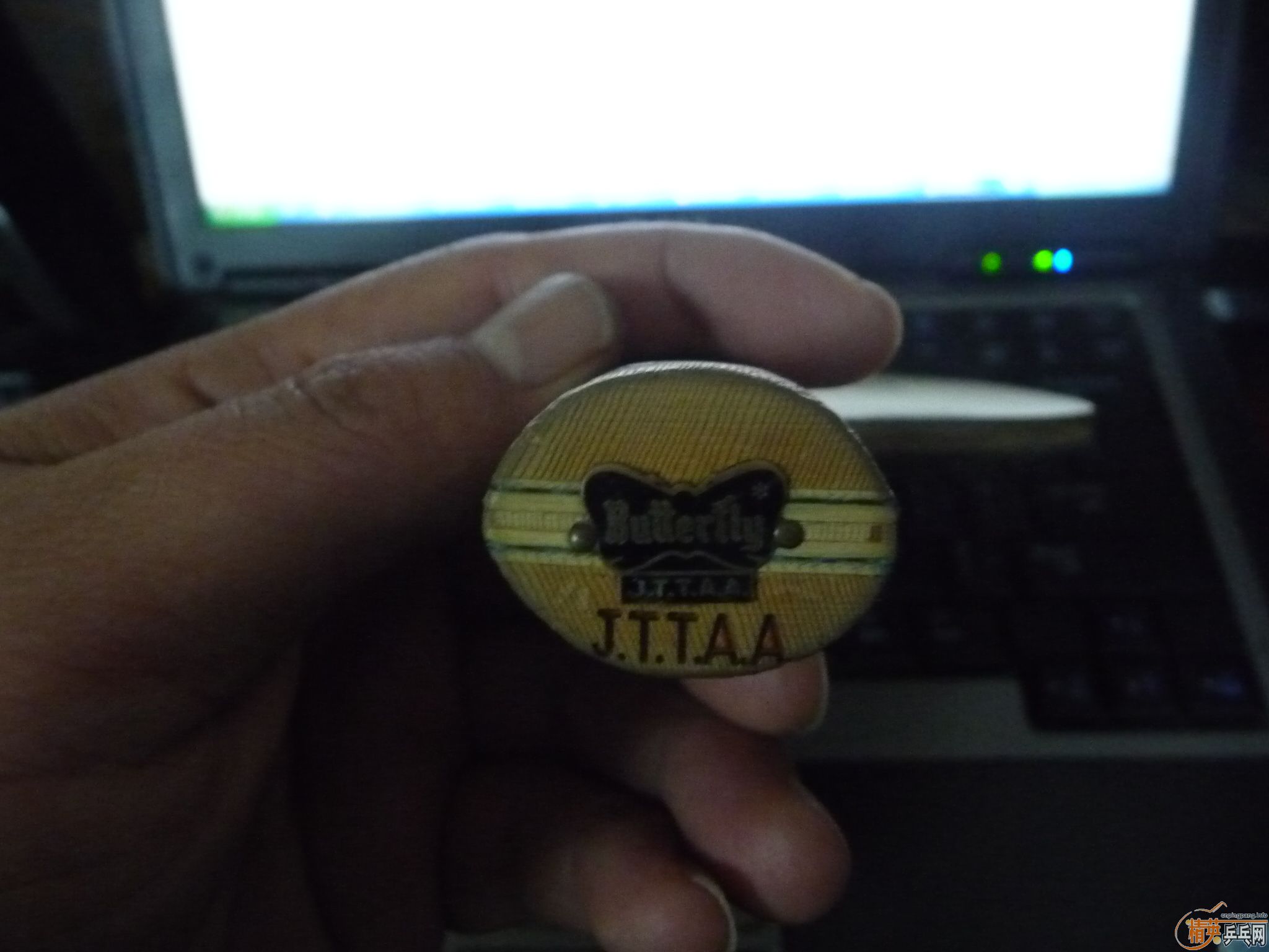 �Ͽ����ƺ���������