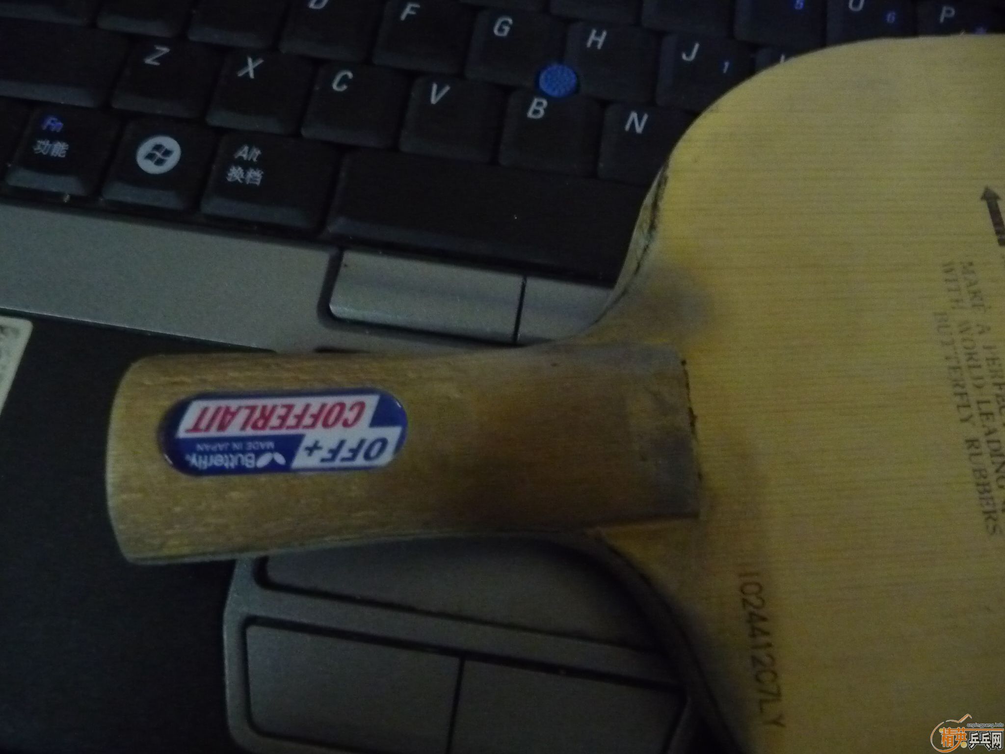 �Ͽ����ƺ���������