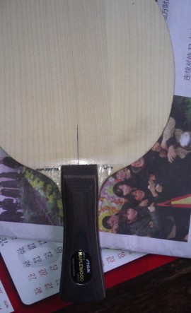 ~~~~���ѳ��� ���ַ�ľ5~~~~