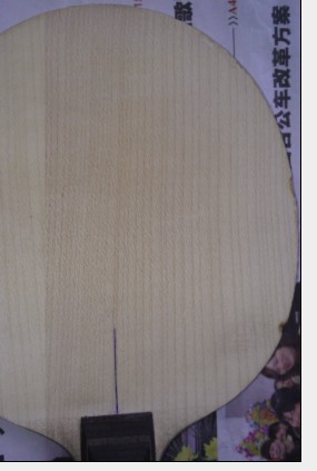 ~~~~���ѳ��� ���ַ�ľ5~~~~