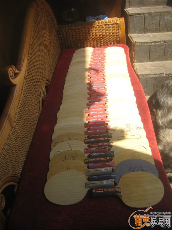 �߰�ȫ�����ɹ̫����.��������������������.