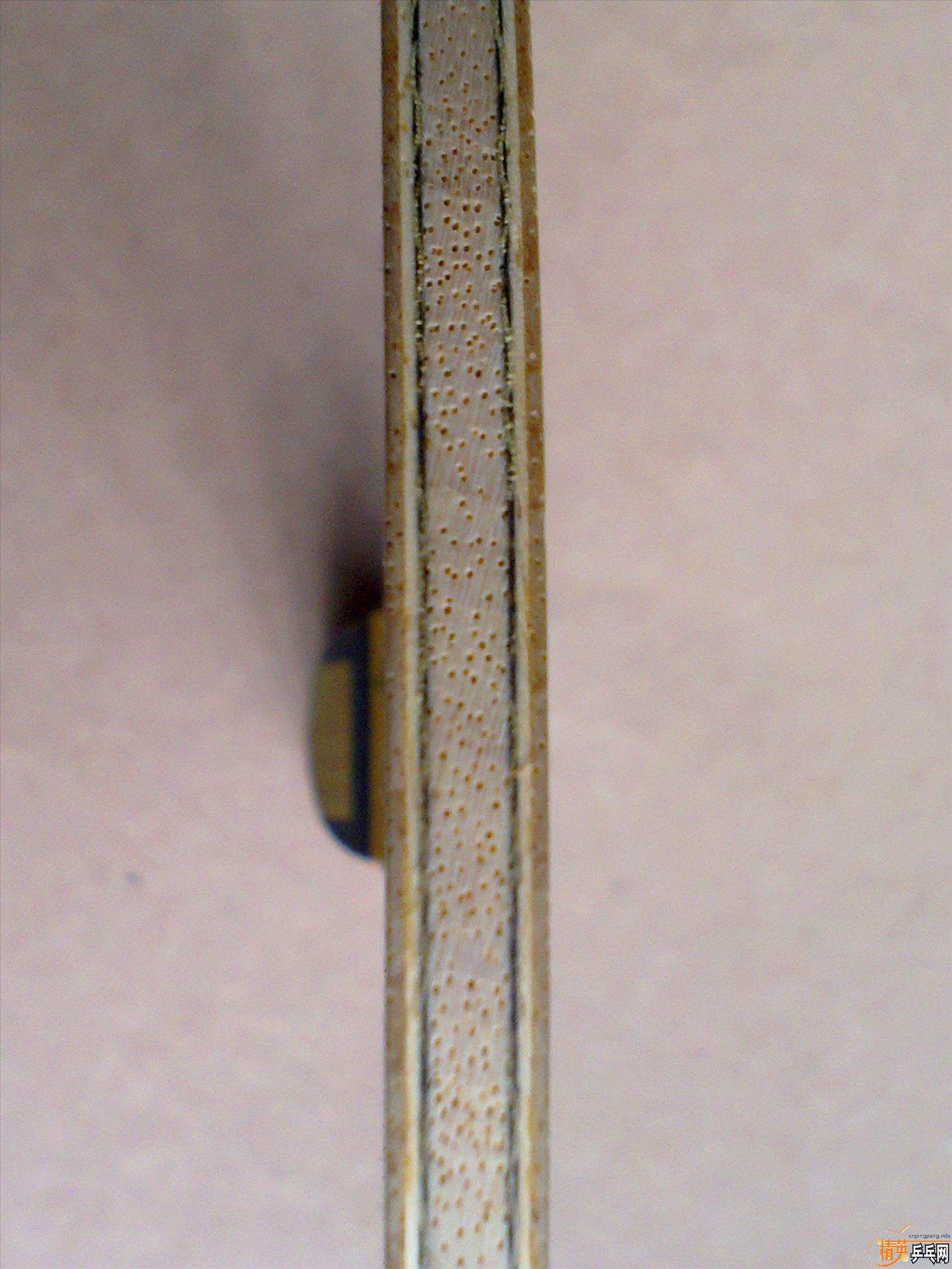  92˵INNERFORCE  ZLC΢Ʒͼ