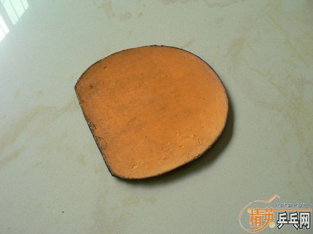 ʡտ켫ELJOᡭ۸ʵݣ