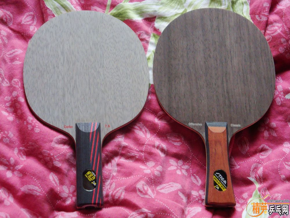 �л��Ʊ�FL-OC������STING