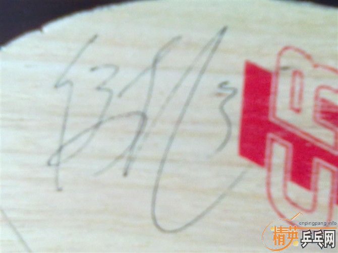 �л��Ʊ�FL-OC������STING