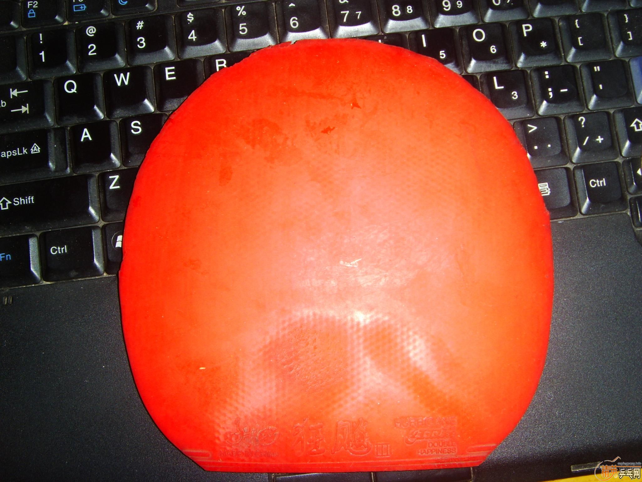 ���ѳ�������100Ԫ������