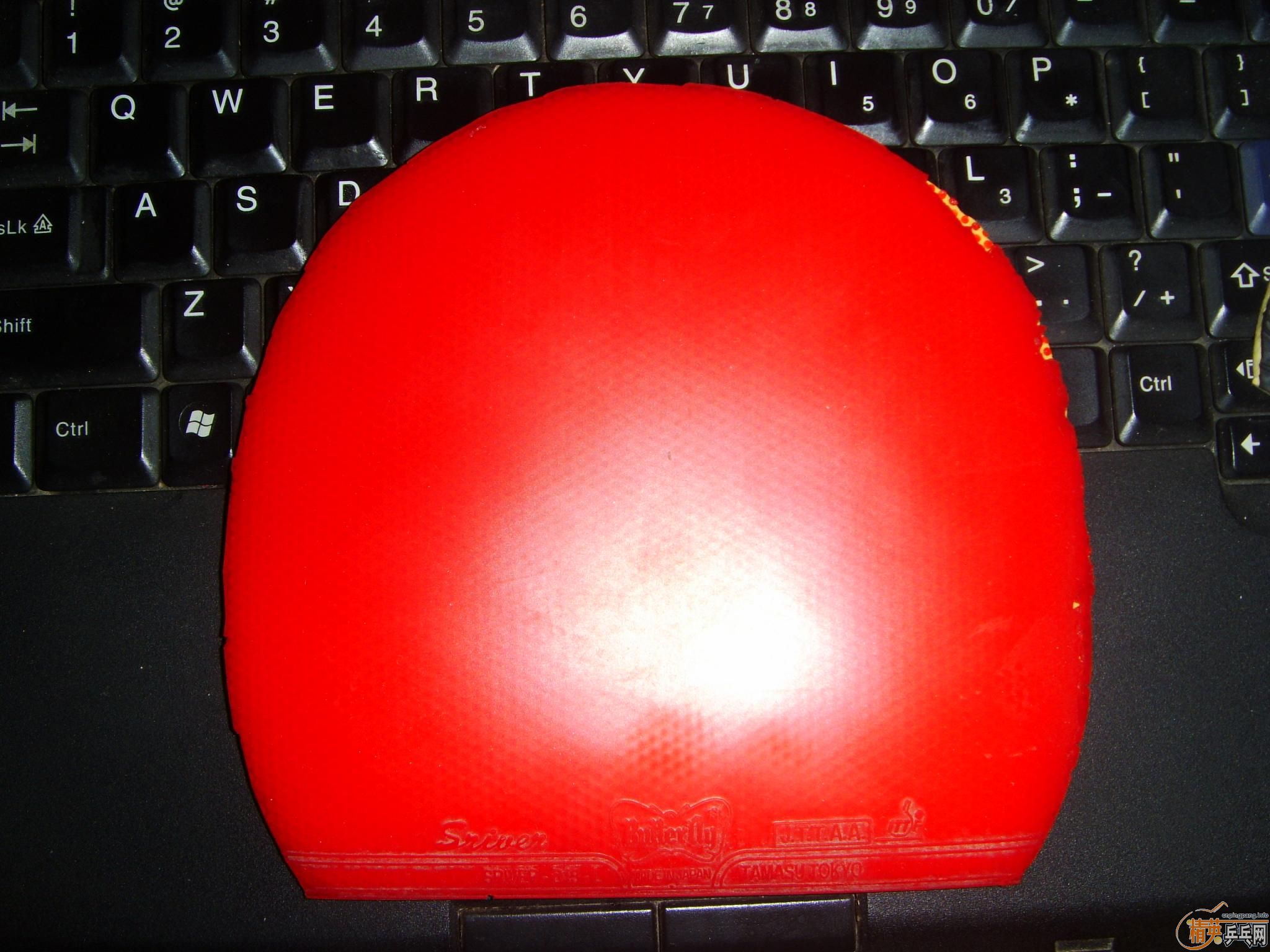 ���ѳ�������100Ԫ������