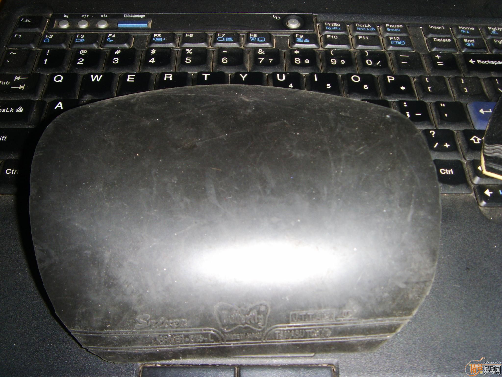 ���ѳ�������100Ԫ������