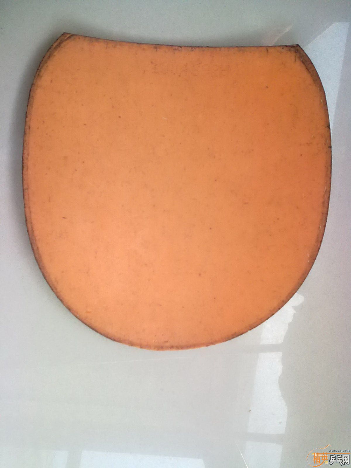 t׽qq705045273