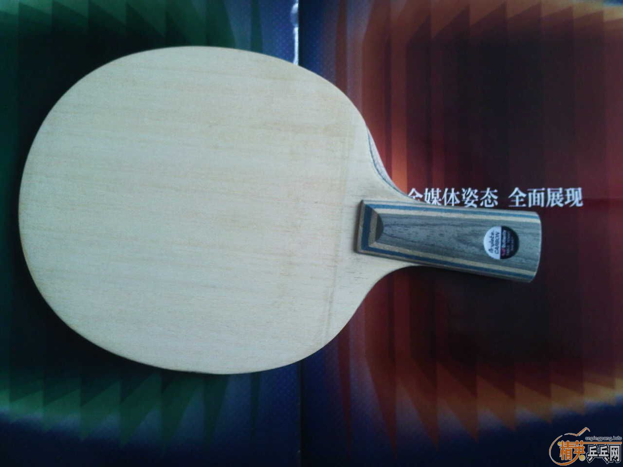 ���˳������ƺ�������һ�������ӣ�ȫ�����ʣ�