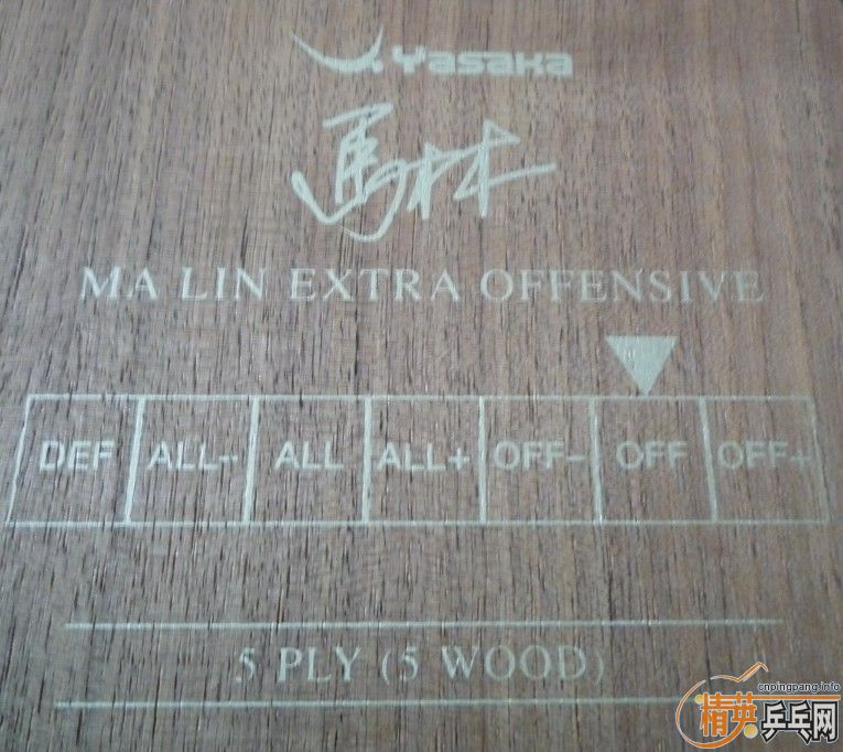 ���˳������ƺ�������һ�������ӣ�ȫ�����ʣ�