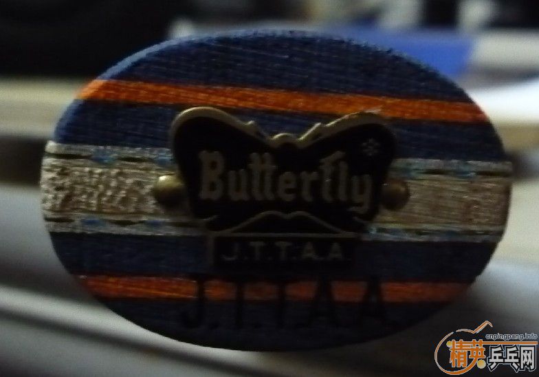 ���˳������ƺ�������һ�������ӣ�ȫ�����ʣ�